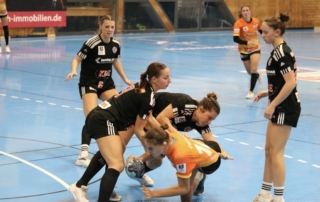 Tabellenführer über weite Teile des Spiels erfolgreich geärgert